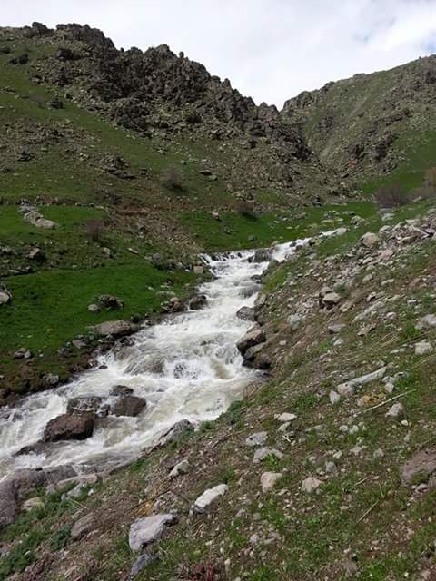 Bilonus'ta Kis onizleme