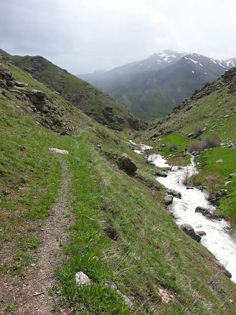 Bilonus'ta Yaz onizleme